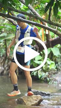 BIB:  <button type="button" onclick="openModal(27529004)" class="btn btn-primary btn-sm float-right" data-toggle="modal" data-target=".modal-high-quality">
                <i class="fa fa-download"></i> Download
                </button>